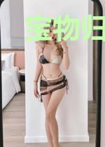 宝物归还者