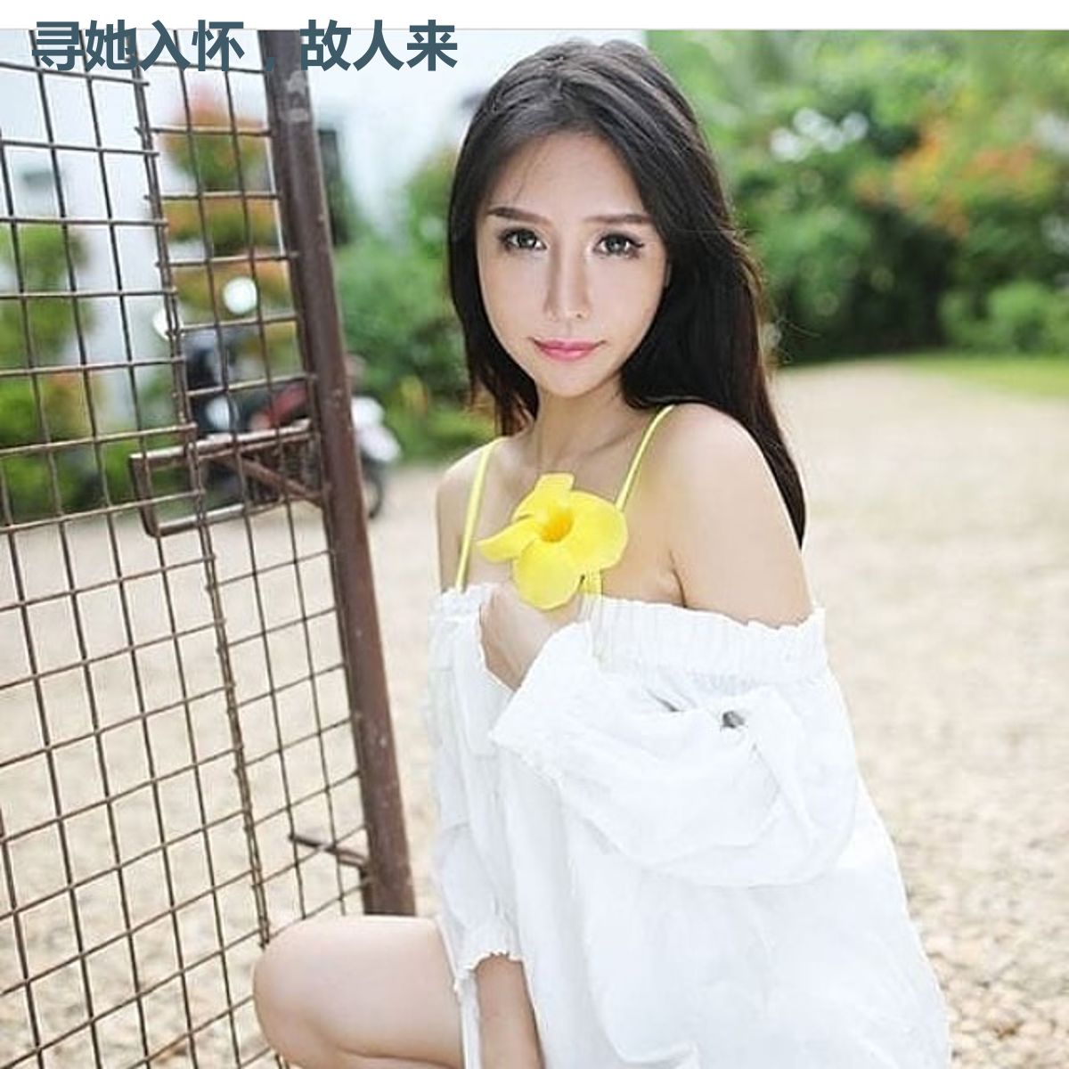 寻她入怀,故人来