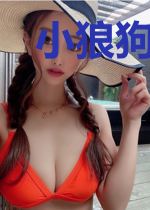 小狼狗的恋爱手札