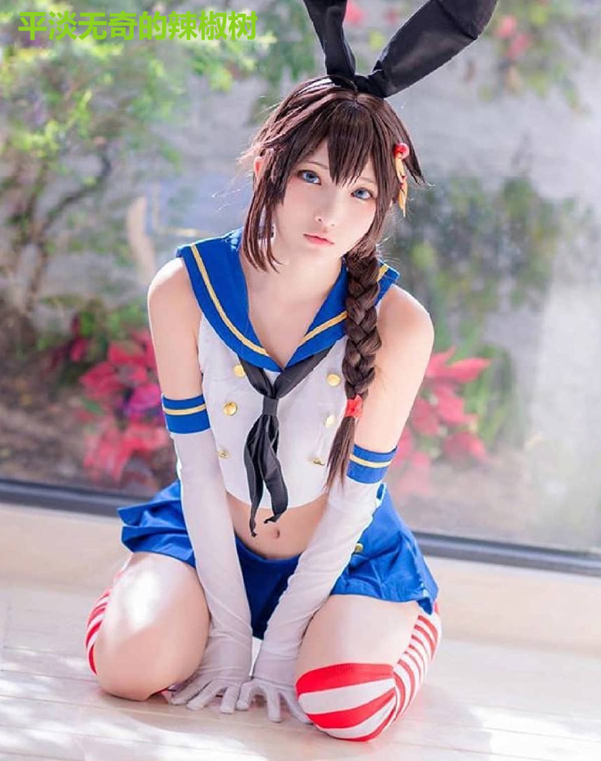 平淡无奇的辣椒树