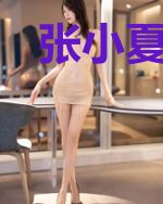 张小夏的小城往事