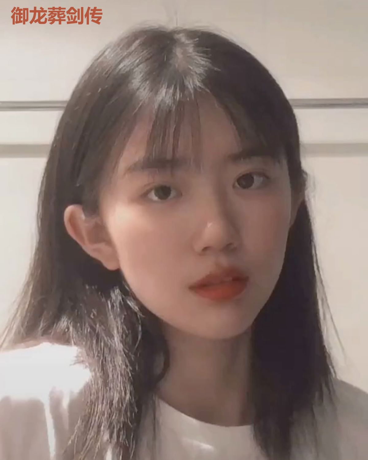御龙葬剑传