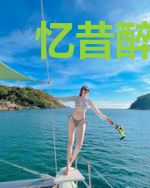忆昔醉梦缘