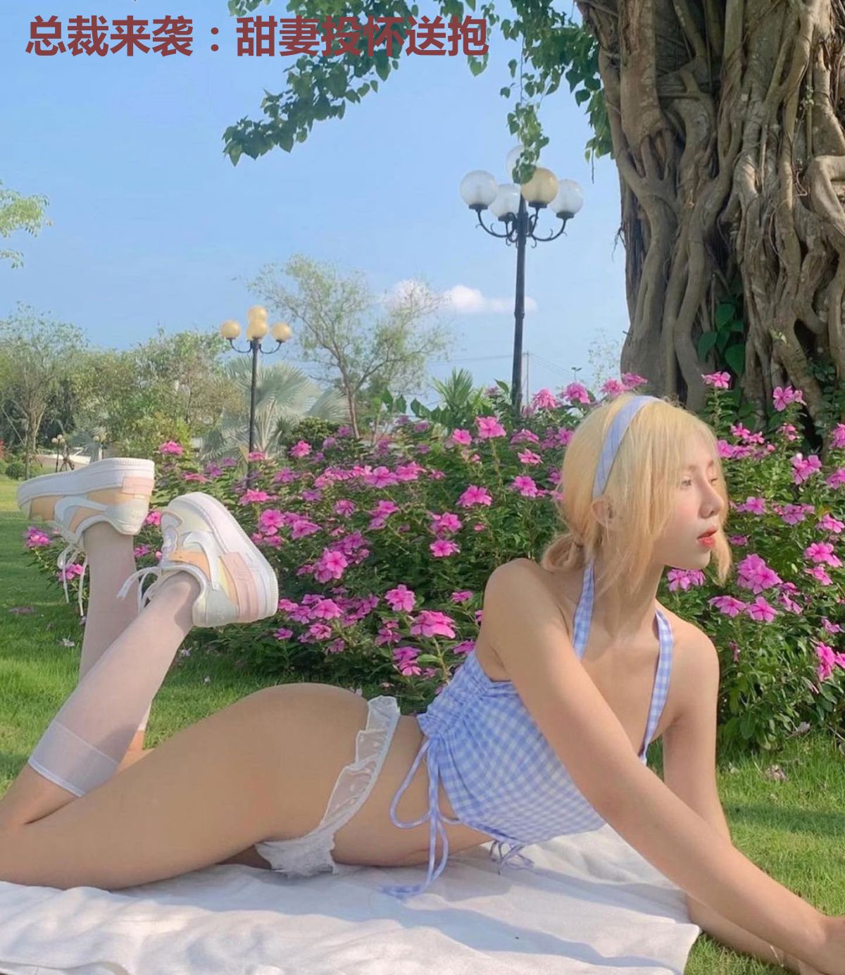 总裁来袭:甜妻投怀送抱