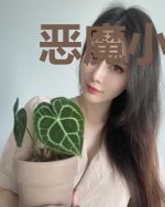 恶魔小小妻
