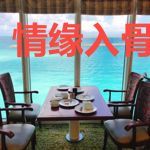 情缘入骨意难断