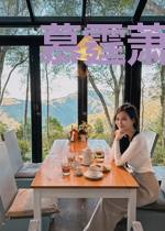 慕霆萧宋星辰