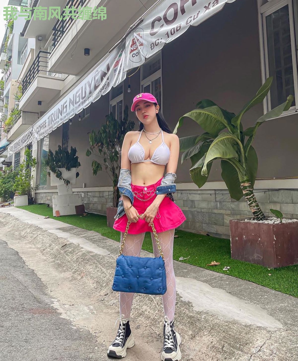 我与南风共缠绵