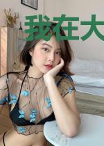 我在大夏开客栈