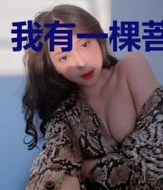 我有一棵菩提树