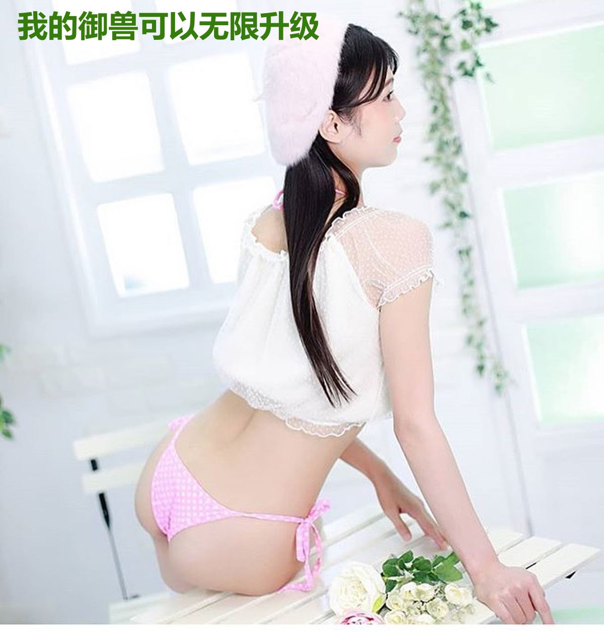 我的御兽可以无限升级