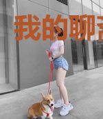 我的聊斋世界