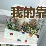 我的靠山是中国古典神话