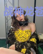 战神龙苍陆长风