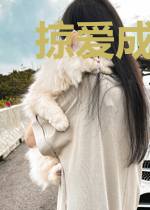 掠爱成瘾：傅少的小娇妻