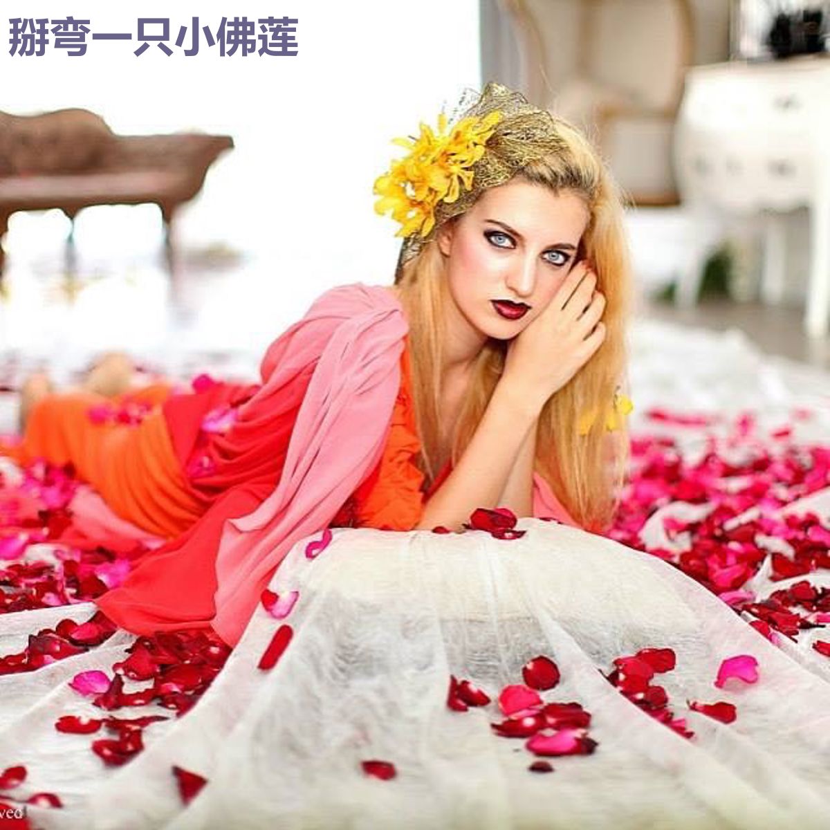 掰弯一只小佛莲