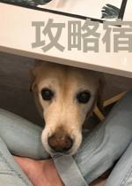 攻略宿敌后公主毁婚了