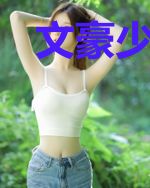 文豪少女的二次元时代