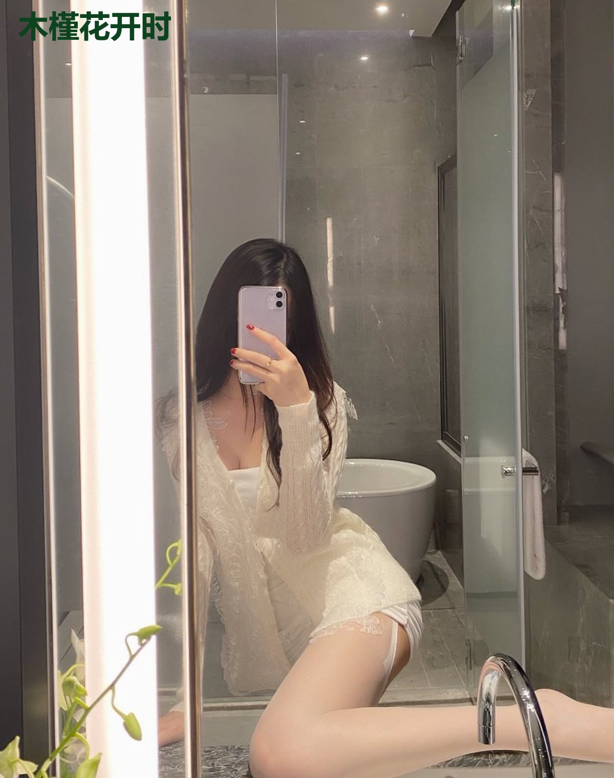 木槿花开时