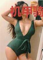 机甲骑士的崛起