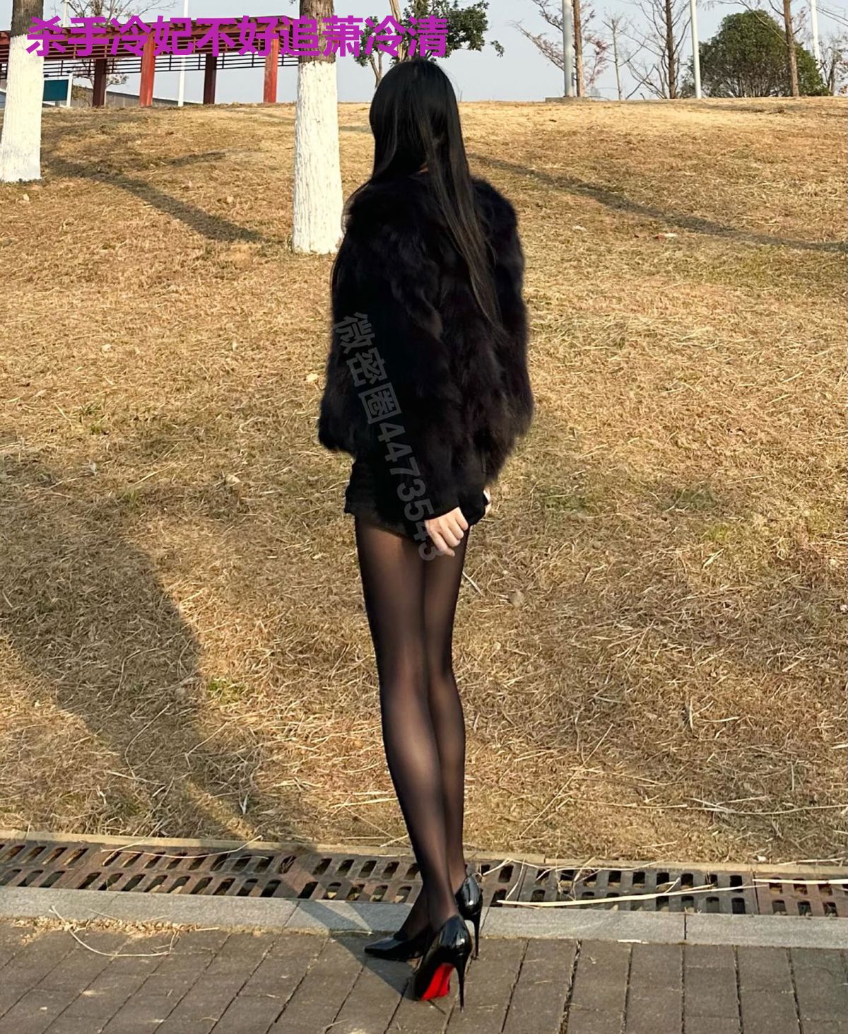 杀手冷妃不好追萧冷清