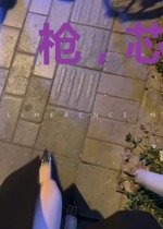 枪，芯片和拜纳瑞粒子