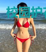 校园护花高手