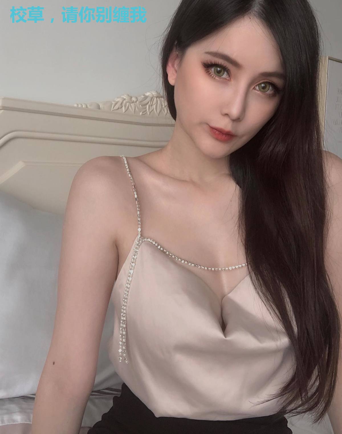 校草，请你别缠我