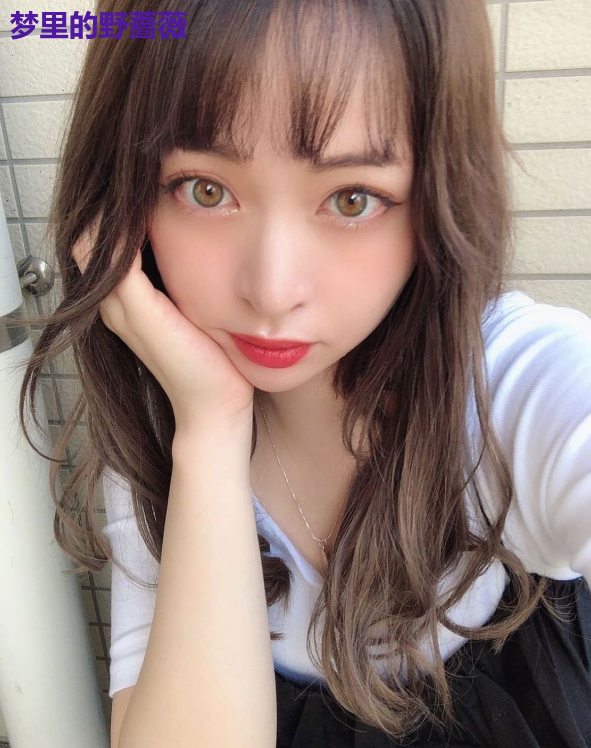 梦里的野蔷薇