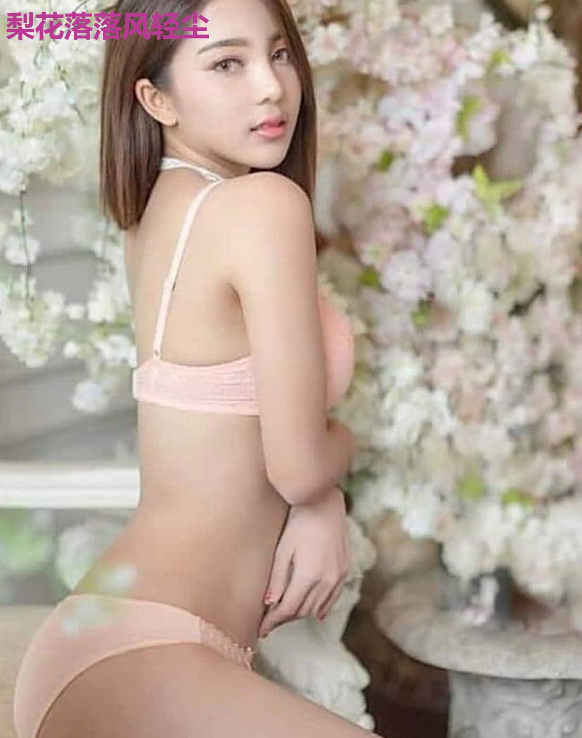 梨花落落风轻尘