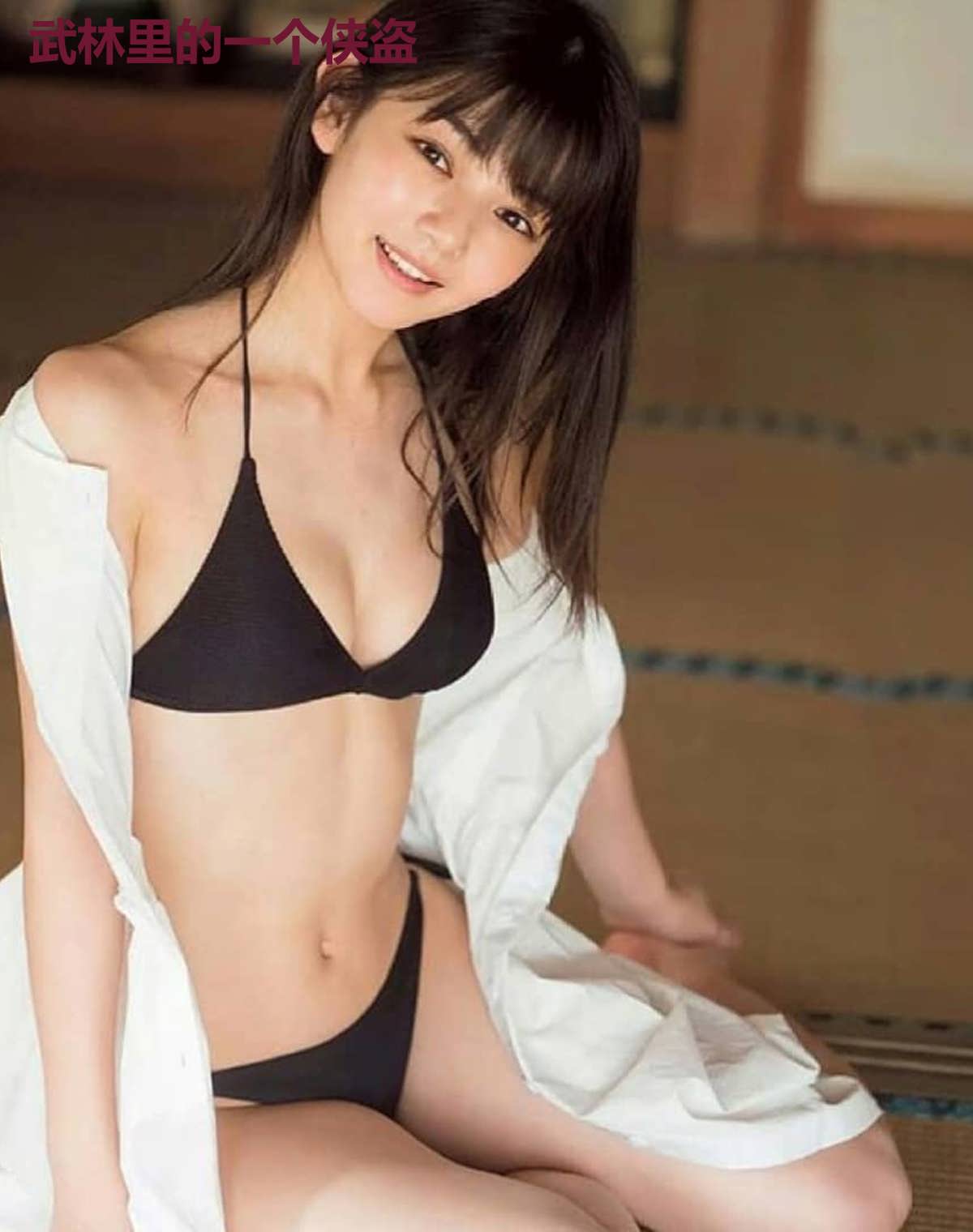 武林里的一个侠盗