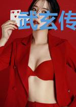 武玄传之剑侠
