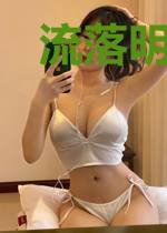 流落明朝当赘婿