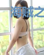 海贼之从猎人到大将