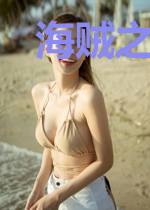 海贼之海军铁壁