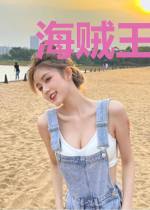 海贼王之海贼提督