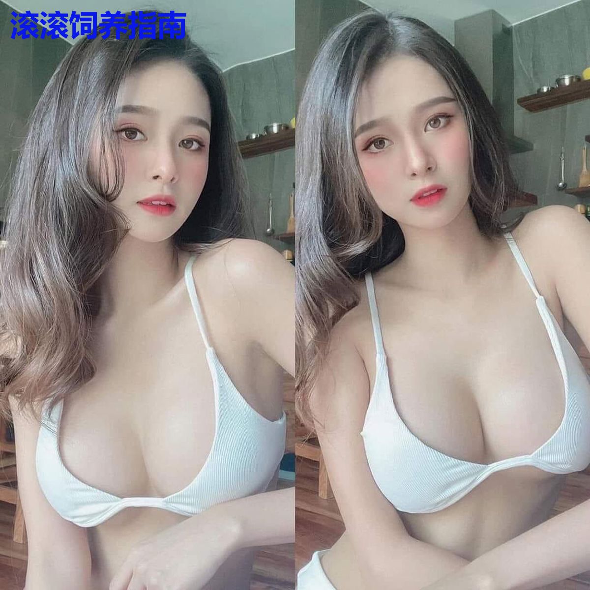 滚滚饲养指南