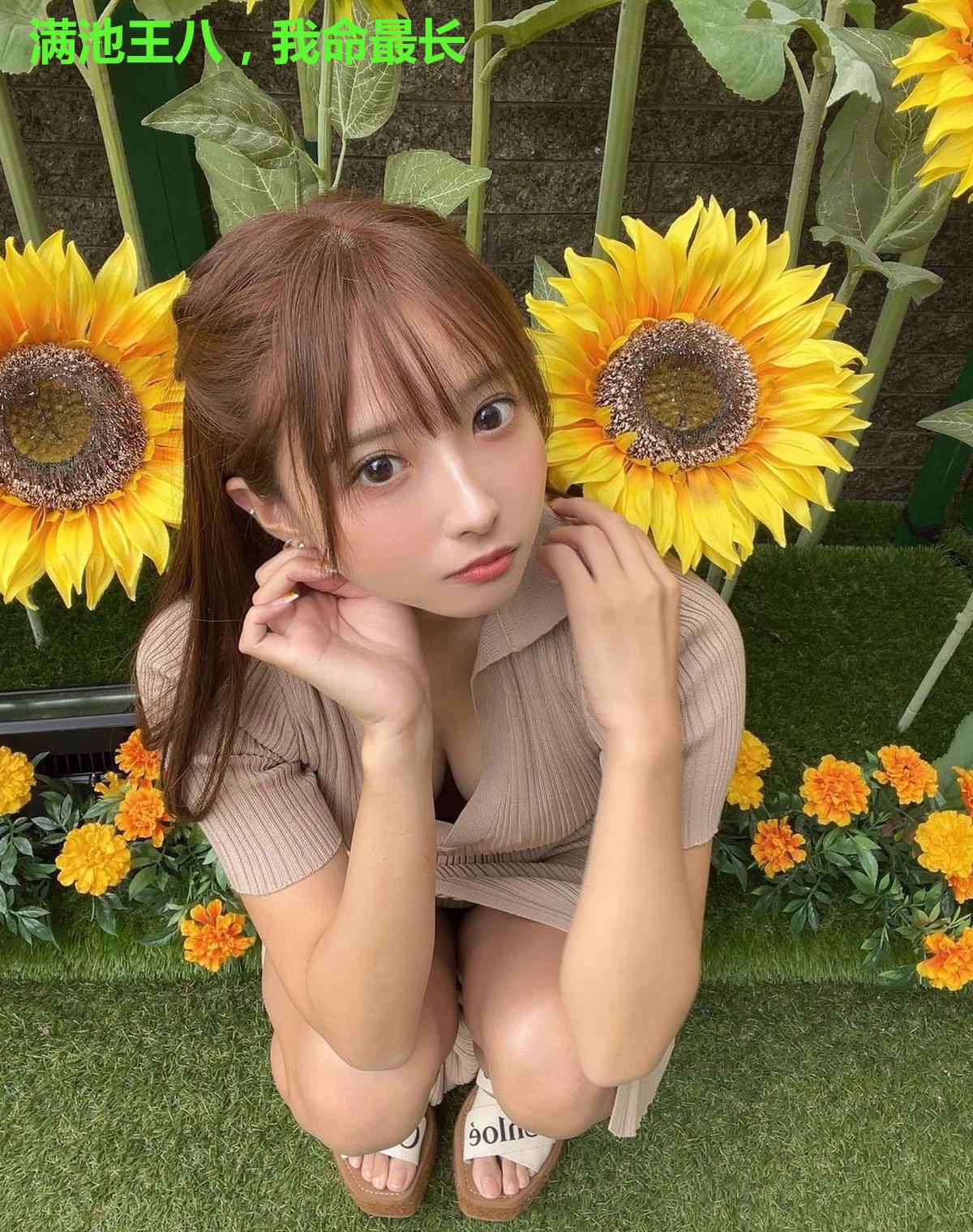 满池王八,我命最长