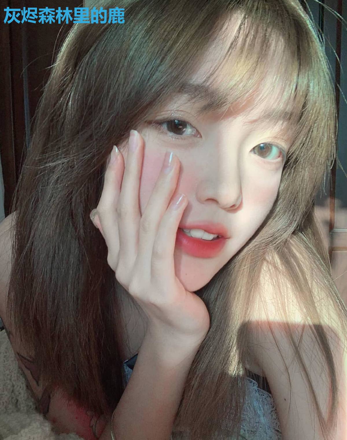 灰烬森林里的鹿