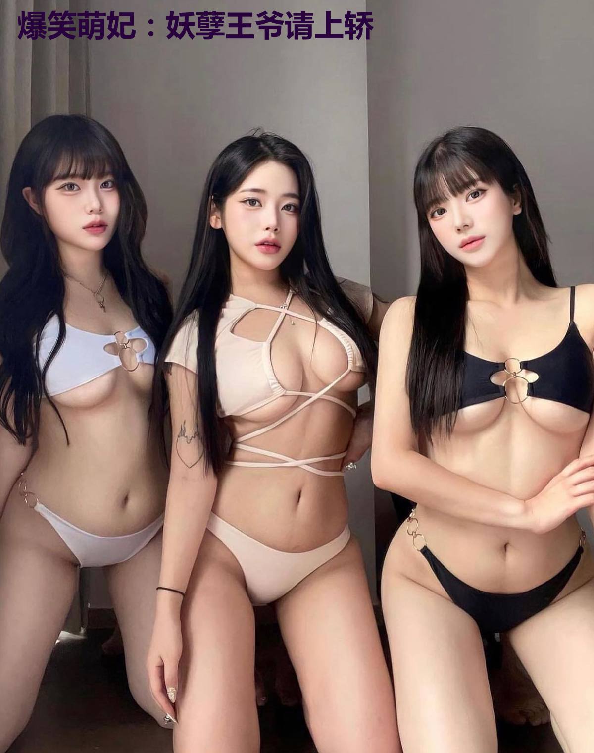 爆笑萌妃：妖孽王爷请上轿
