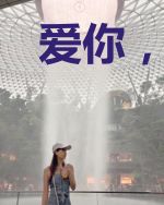 爱你,我放弃了全世界