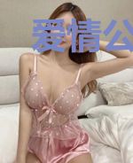 爱情公寓之铠甲勇士