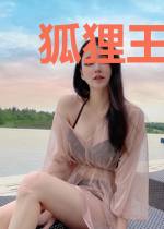 狐狸王爷将军妃