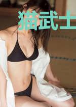猫武士之雷电传奇