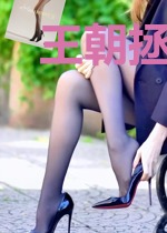 王朝拯救计划