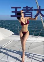 王者大陆之最强王者大乱斗