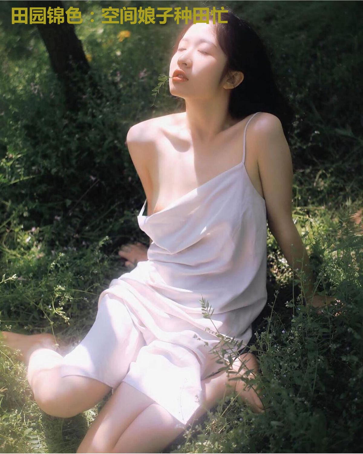 田园锦色:空间娘子种田忙