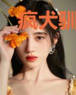 疯犬驯养手册[gb]