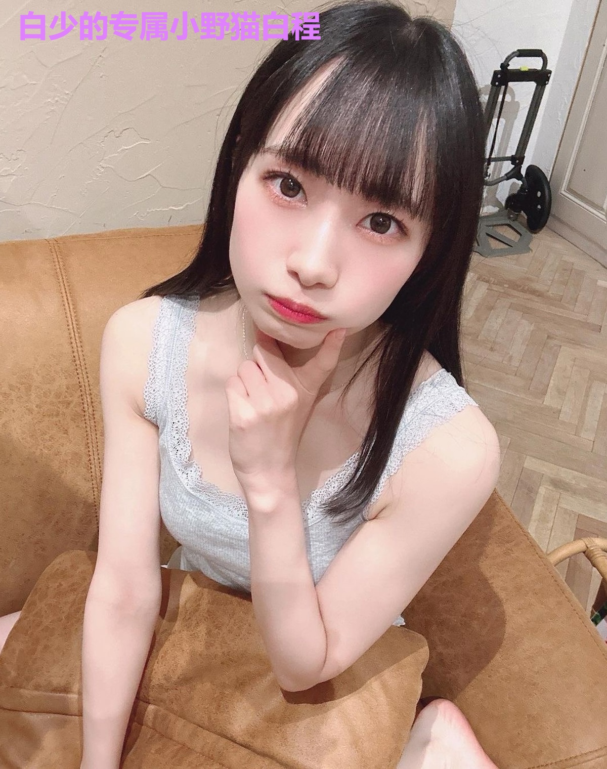 白少的专属小野猫白程