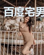 百度宅男当崇祯